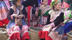 Bac Ha