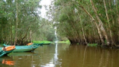 Delta Mekongu